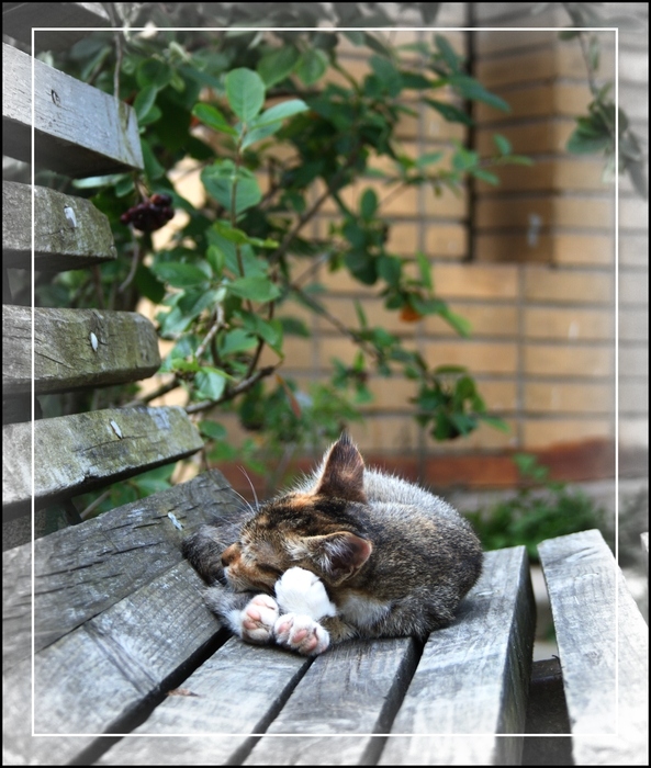 Und ich träume nicht, Rumpeln der Baikonur ...