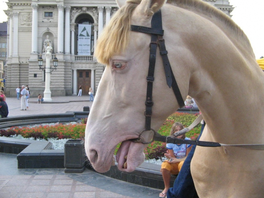 blauäugige Blondine