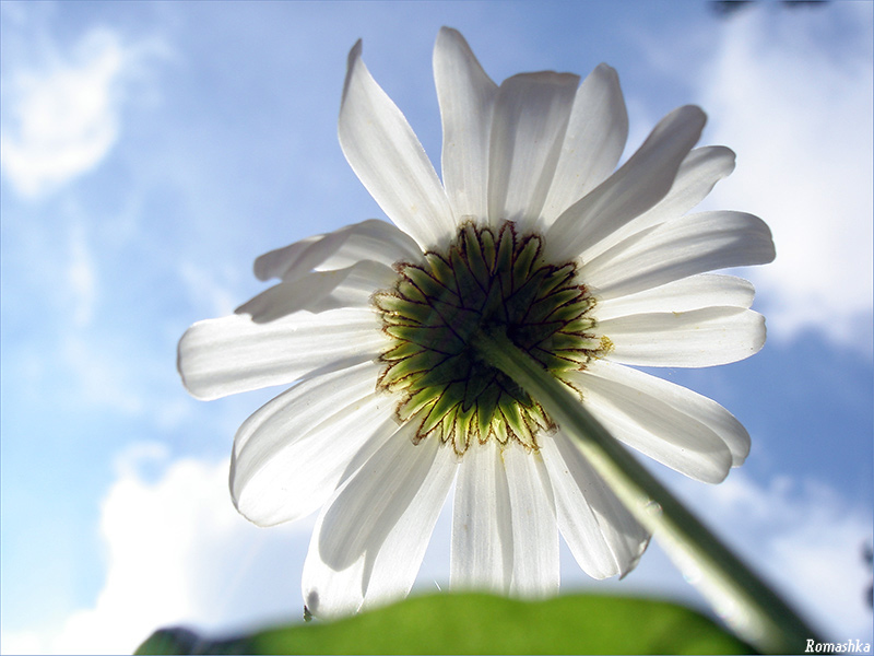 Schauen Sie sich die Welt anders!