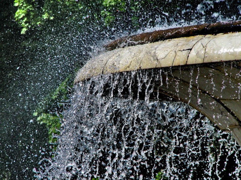 die Freude am Sommer