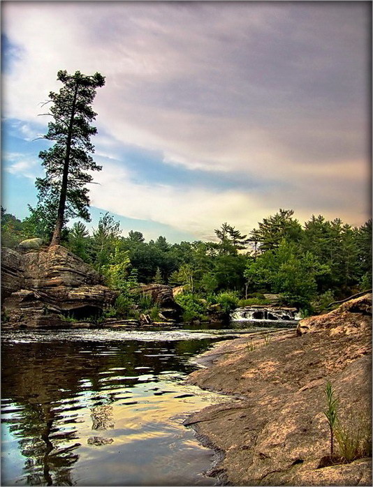 wachsen unter dem Himmel