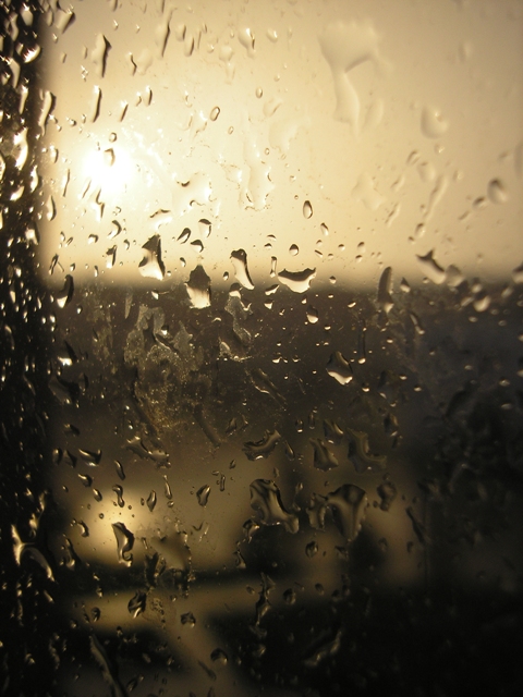 Rain at dawn 