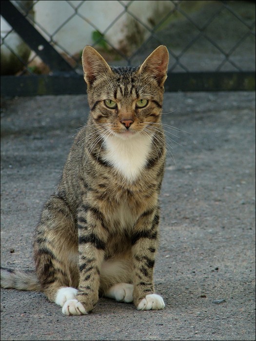 Letzter Maß an Geduld ..