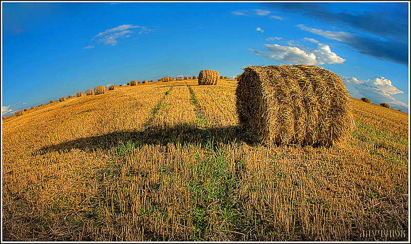 ONE Stapel links ...