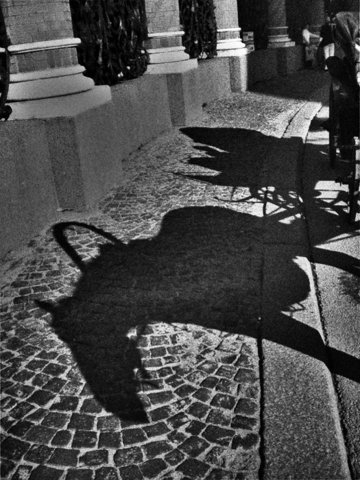 Schatten wieder