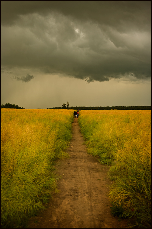 Feld. Wolken. Menschen.