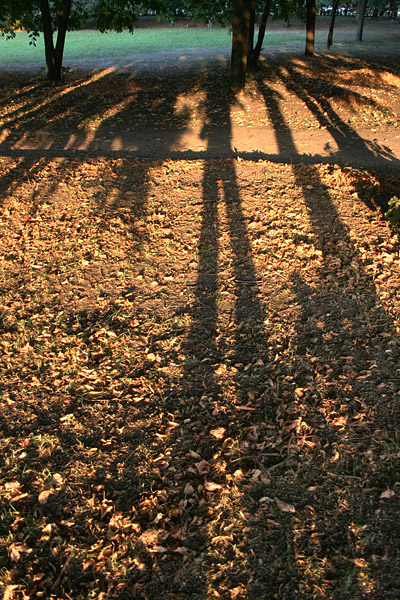 Tropfen fallen, und die Schatten seiner selbst am Ende des Sommers