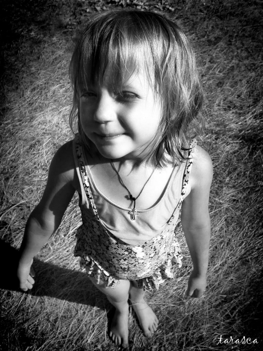 Und was wissen Sie über diesen Sommer? (Springer Lehrbuch)