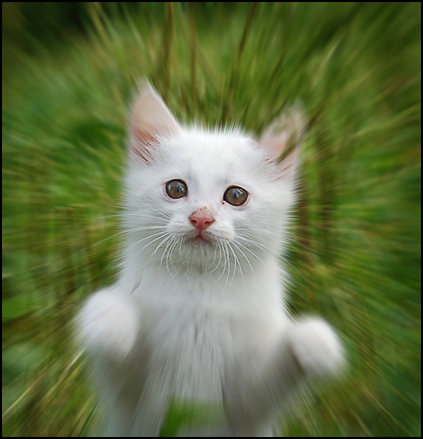 Und nur die Augen ...