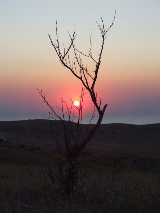 In der Gefangenschaft ...