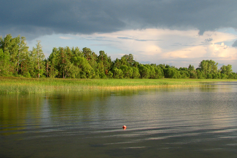 Küste des Sees. Obsterna