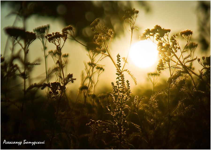 Sag hallo zu der Sonne