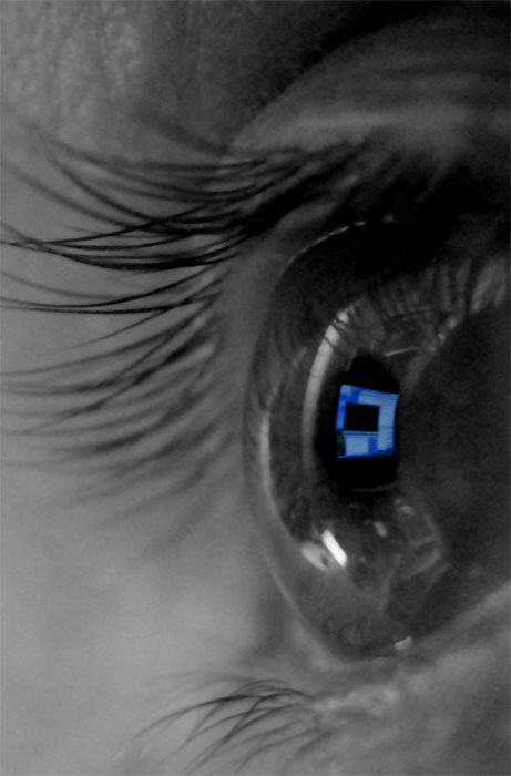 Die Fenster der Seele (SE)