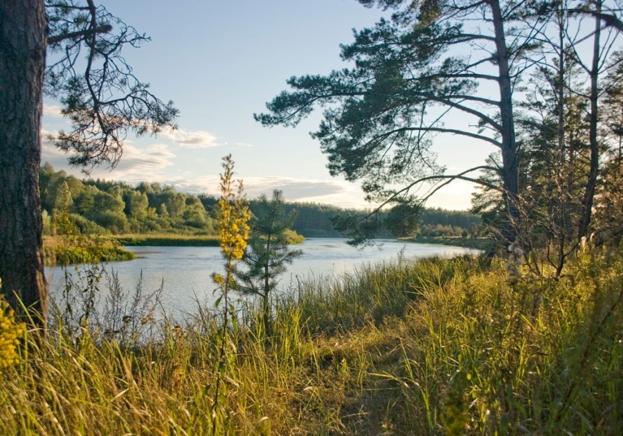 In Erwartung des Herbstes.