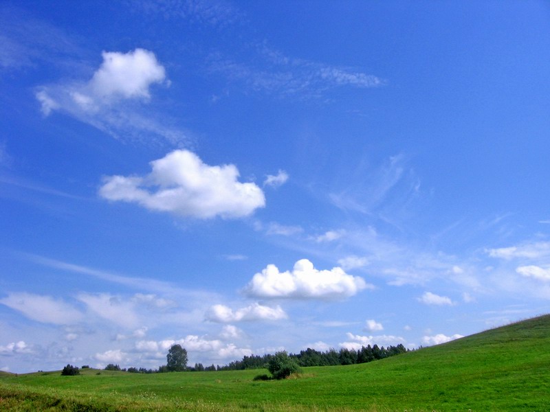 Braslavskie Kontraste