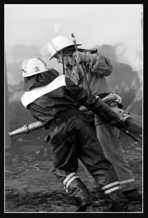 in den Dienst des Vaterlandes und des Volkes ...