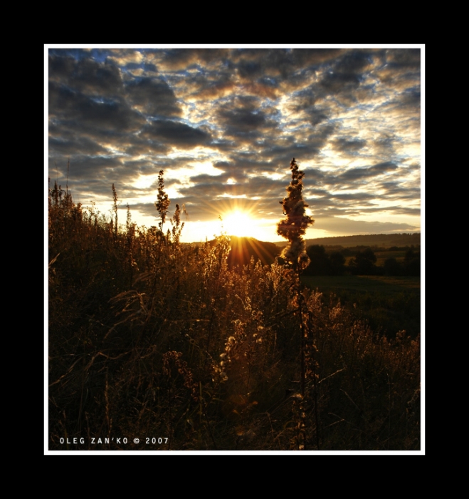 Verlassen der Sonne.