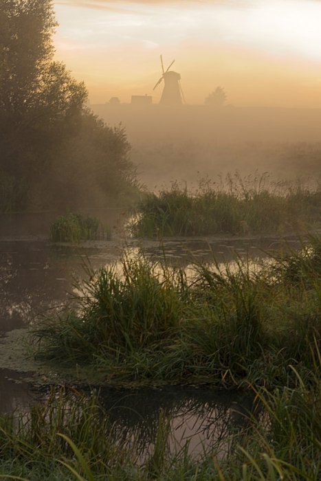 Über der Mühle, Moor-und Morgendämmerung