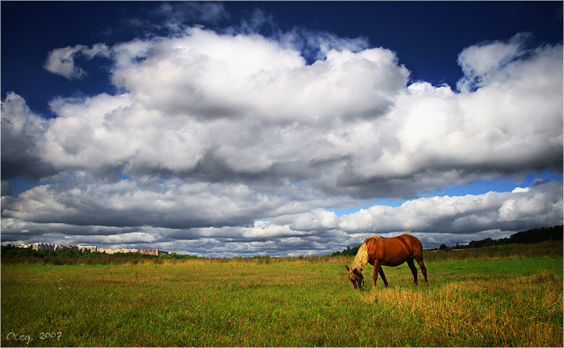 Einfache Landschaft treiben Sommer ...