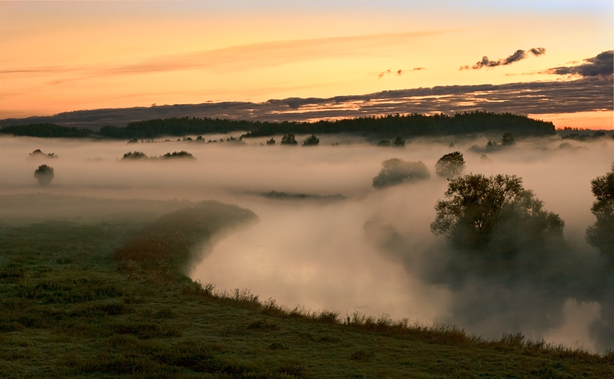 The Fog "Canyon" Swislotsch