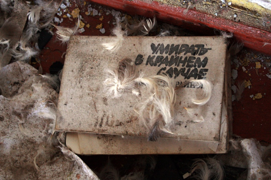 Nur in ganz extremen Fällen