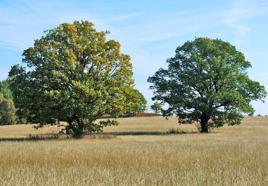 Es gibt Sicherheit in Zahlen