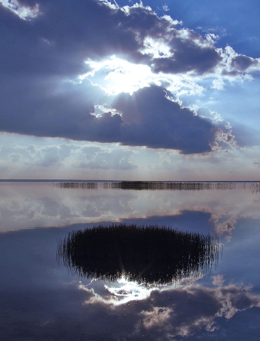 Darkness zurücktritt