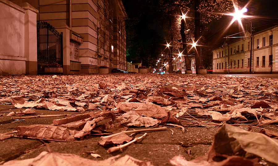 Night. Reste des Sommers