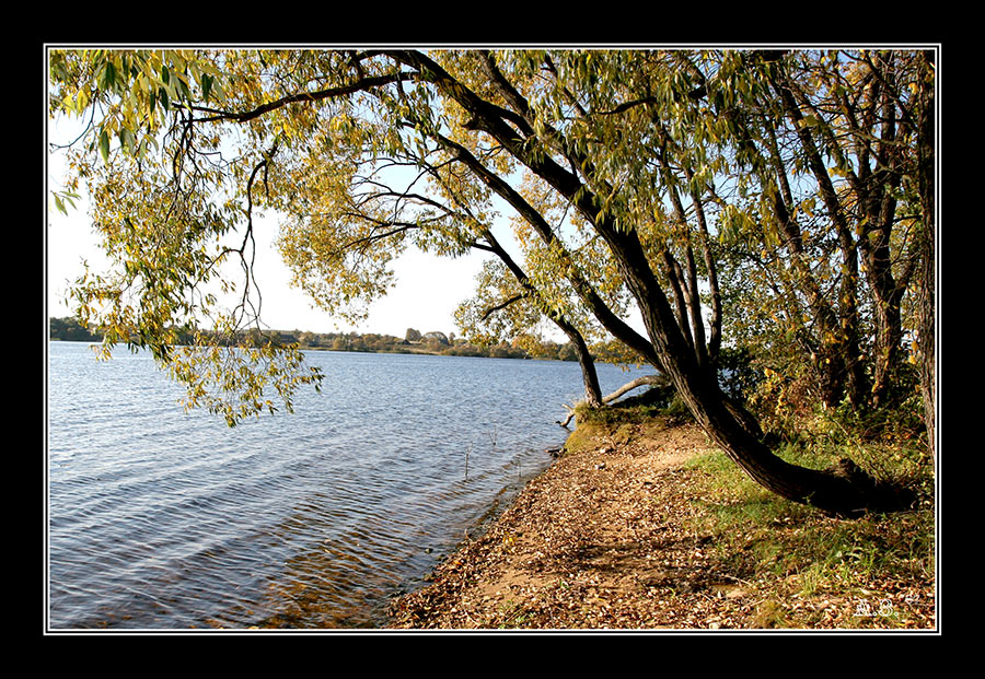 Über die Herbst-Saison mit ...