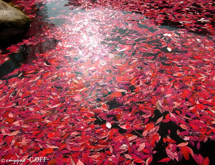 Lustige Märchen mit traurigem Ende