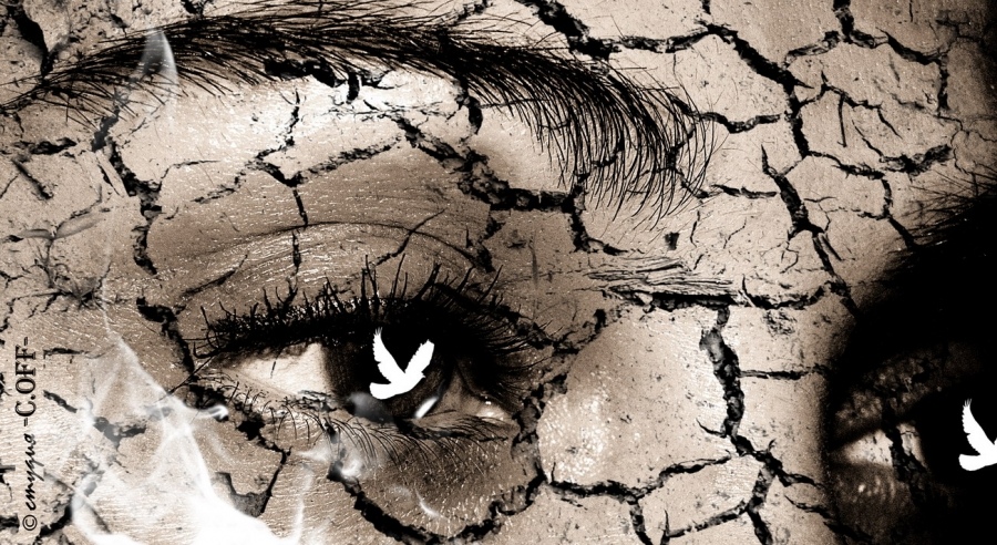 Sein Blick auf die Welt