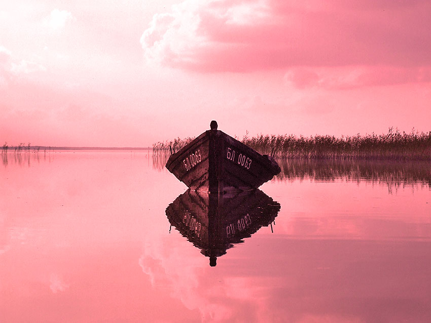 Zwischen zwei Welten