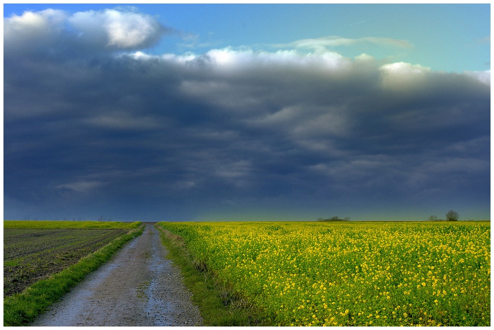 A rainstorm arrives.