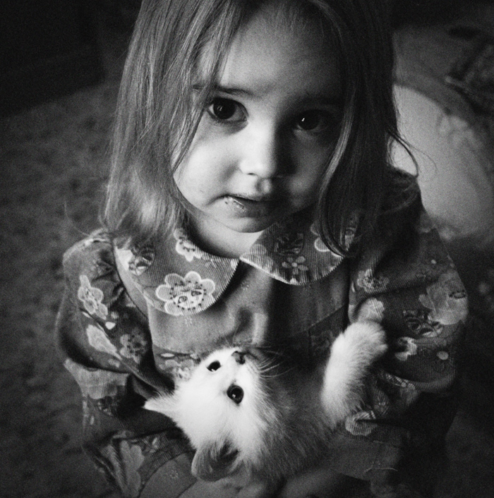 eine falsche Porträt auf einem Shirikov erschossen