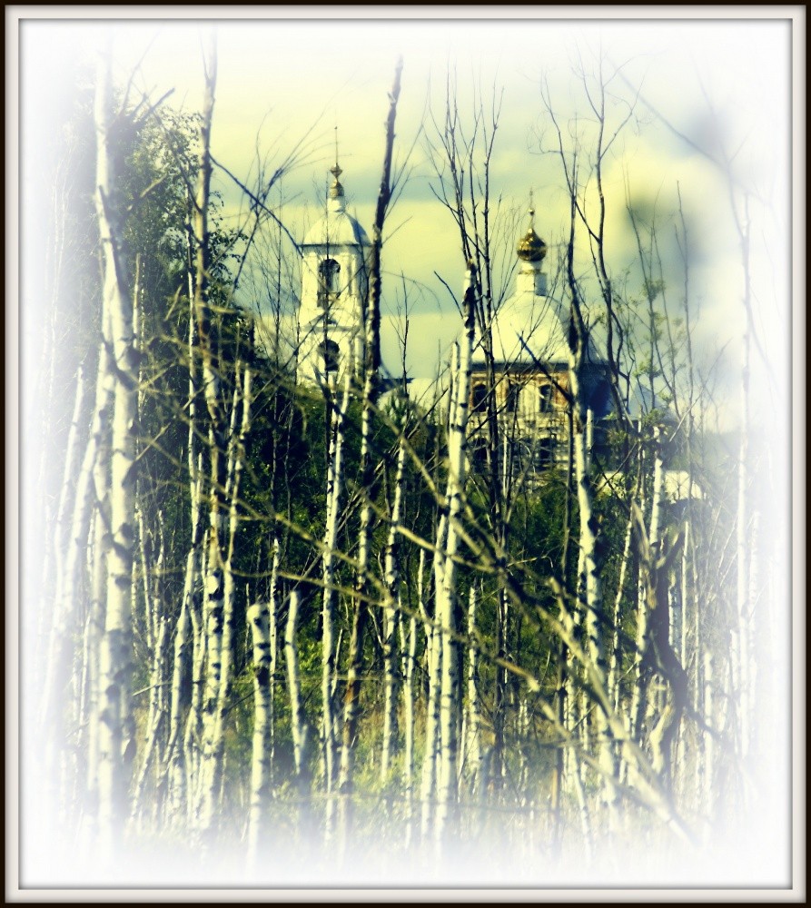 Rund um den See Pleshcheeva