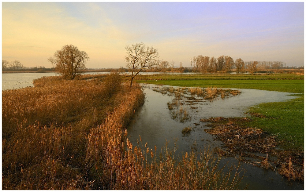 The day after the rain.