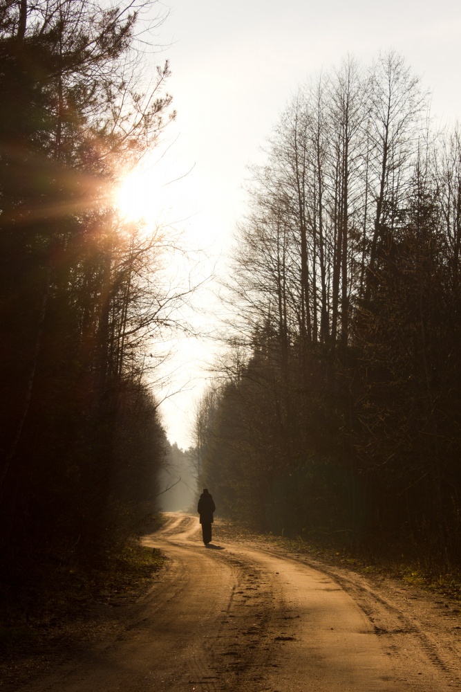 Daroga auf der Sonne