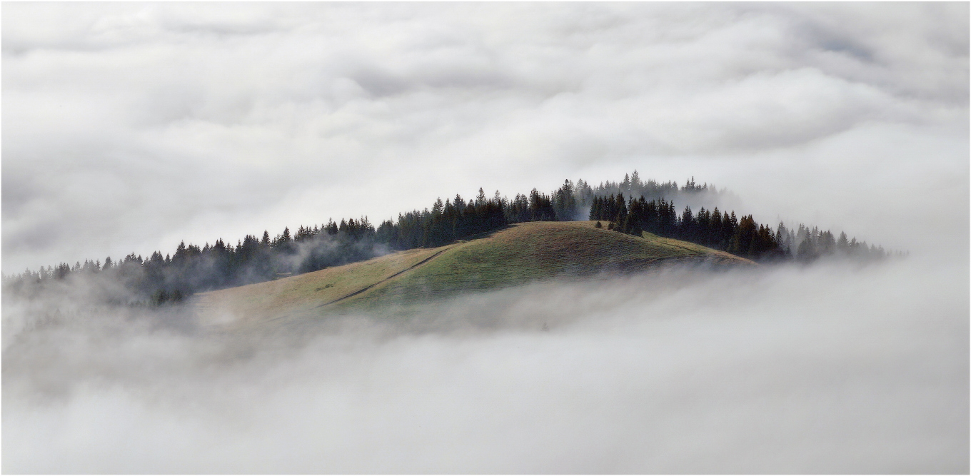 Miracle-jüdischen Fische kit ...