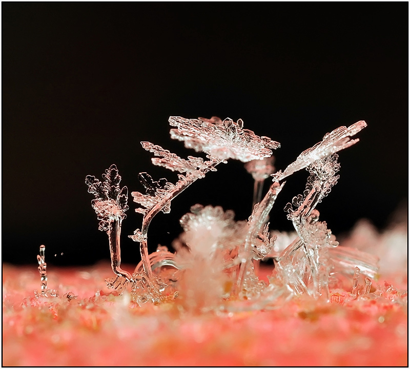 Unbekannt in der Dämmerung ...