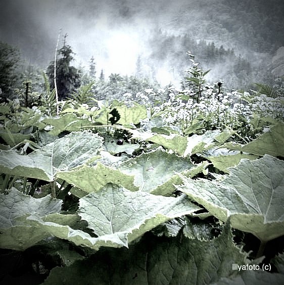 ... Irgendwo in den Alpen.