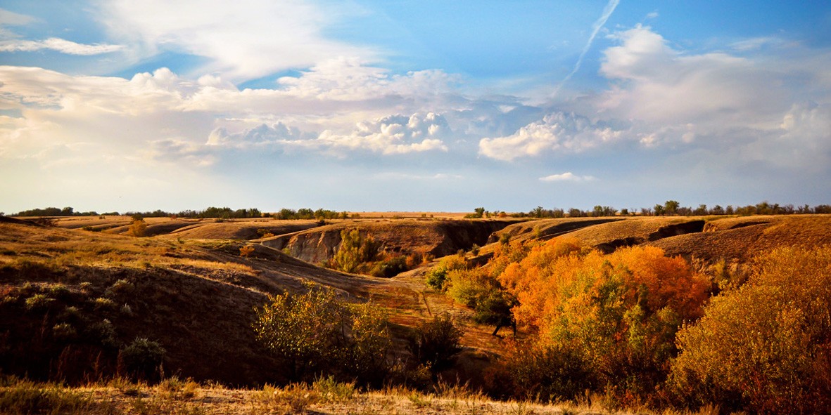 Goldener Herbst in der Wüste.