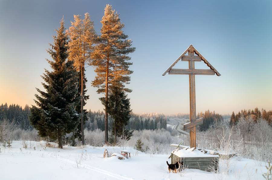 Wir verehren das Kreuz.