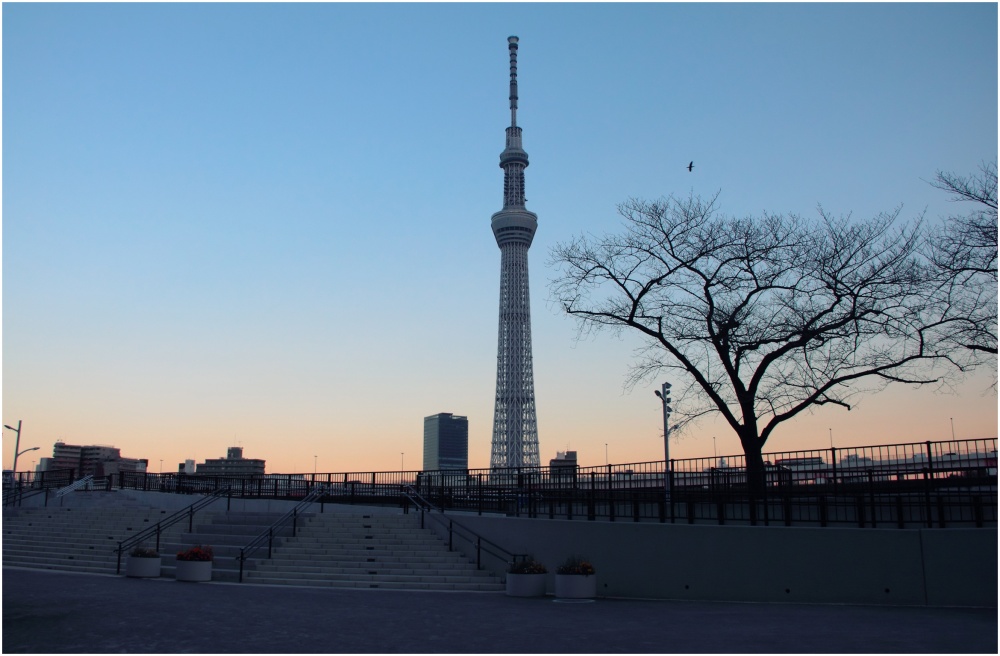 *sky tree Tokyo*