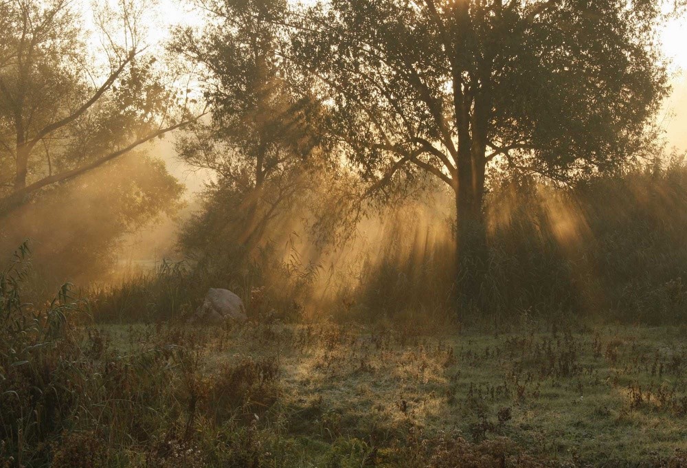 All durchdringenden Licht.