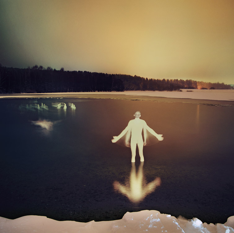 Erschreckend Schwäne