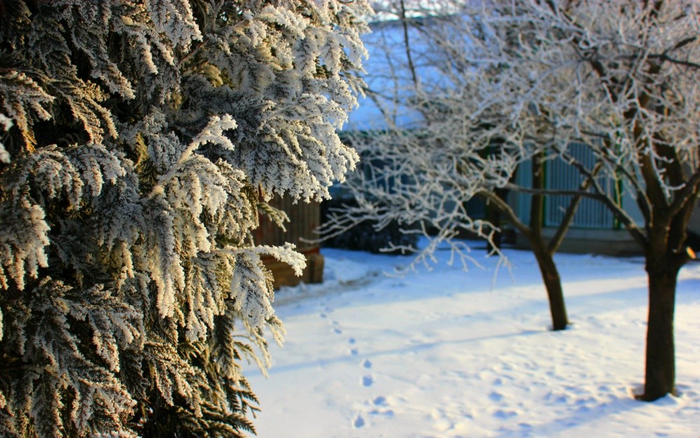 Spuren von Santa Claus .....