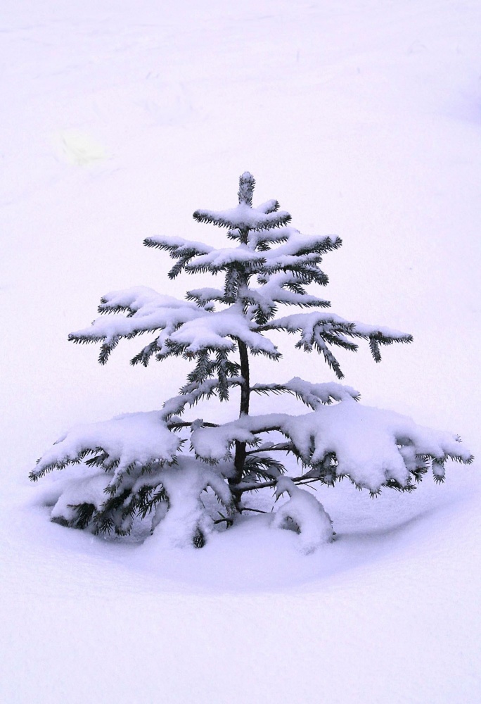 Frohes Neues 2013 Jahr!