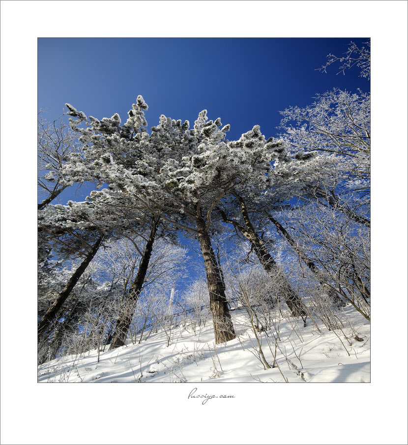 Tale des neuen Jahres