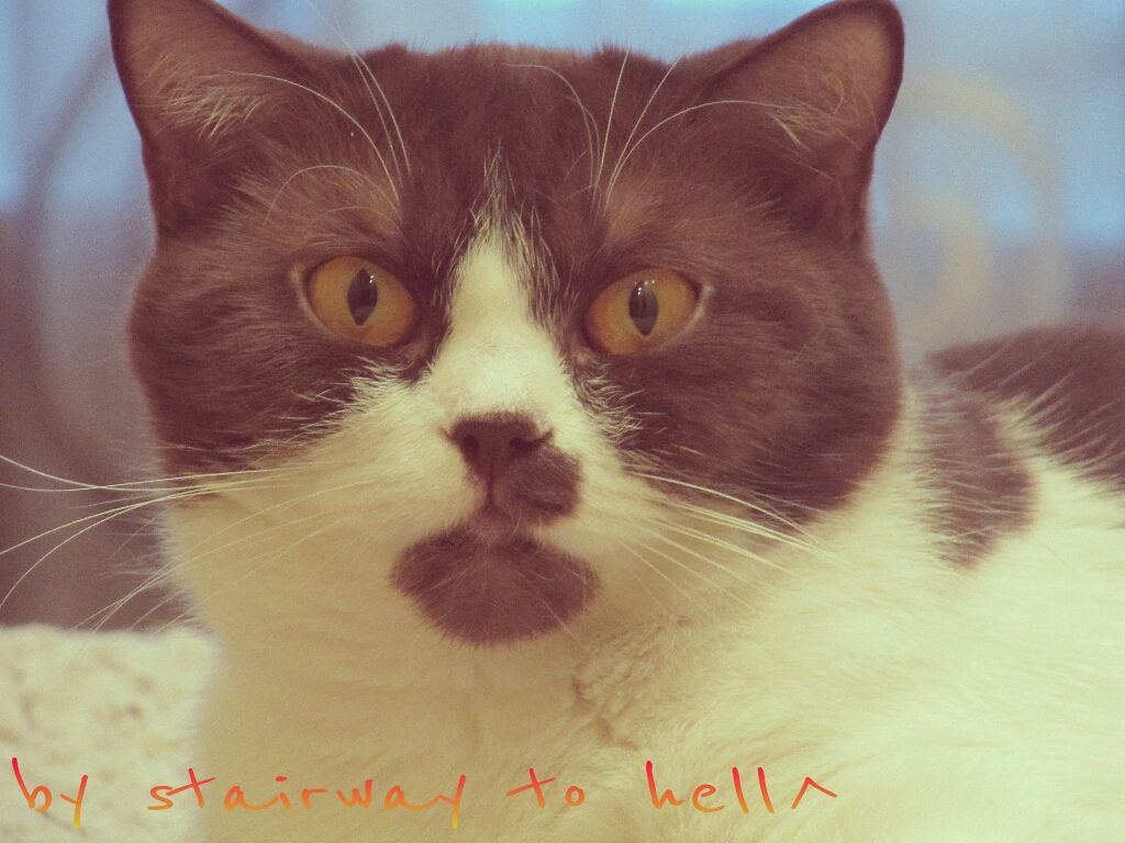 by stairway_to_hell)