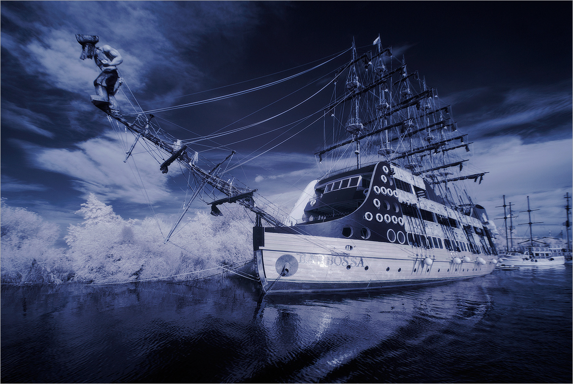 "Barbossa"